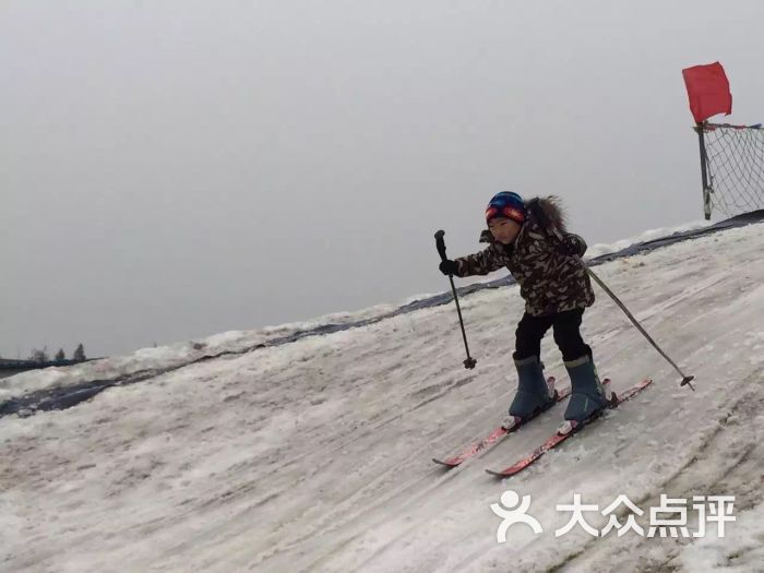 太白湖滑雪场-图片-济宁周边游-大众点评网