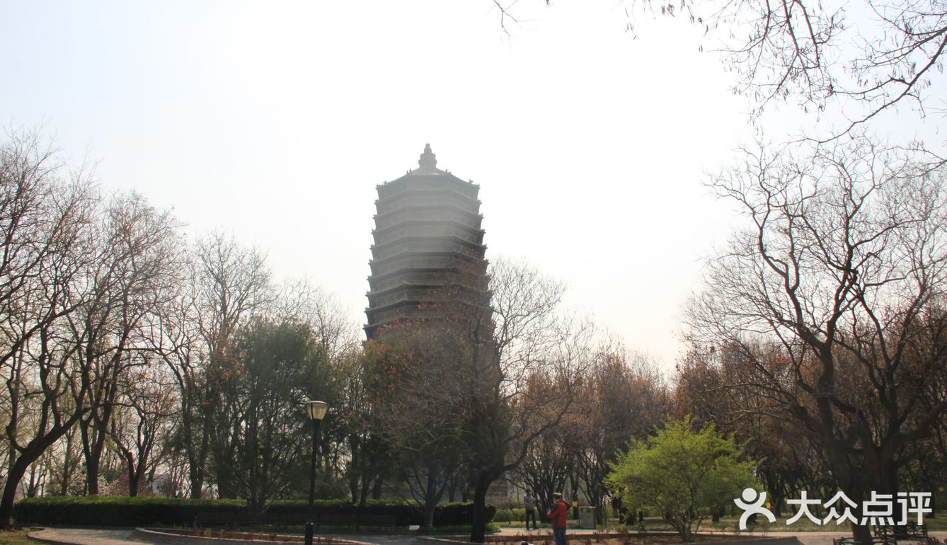 周末带家人来玩,现在叫慈寿寺公园了