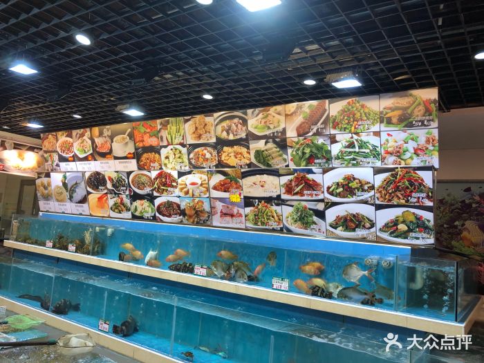 海珊瑚主题餐厅(湛江店)-图片-湛江美食-大众点评网