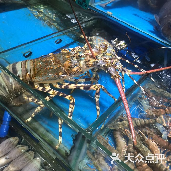 黄沙海鲜水产交易市场-图片-广州美食-大众点评网