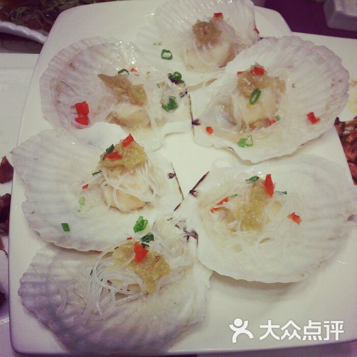 金枝国槐_花卉金枝_金枝海鲜私房菜