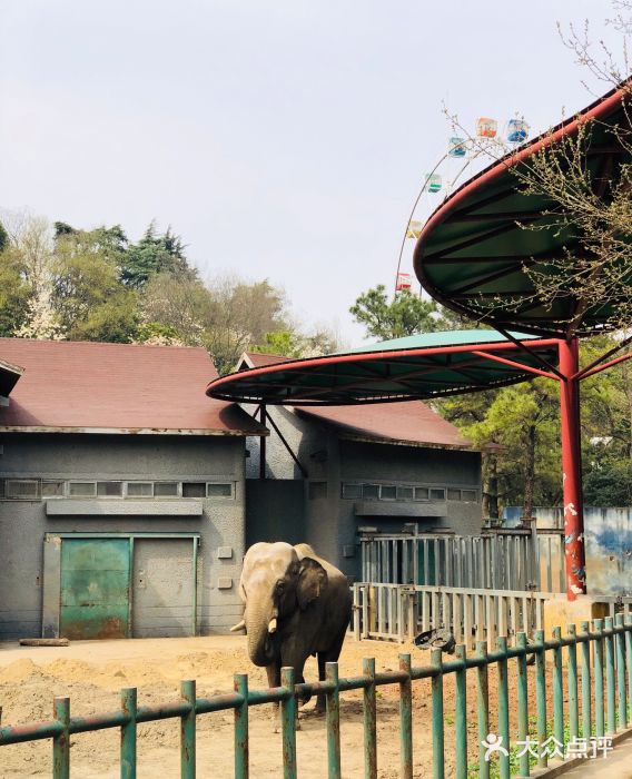 南京市红山森林动物园图片