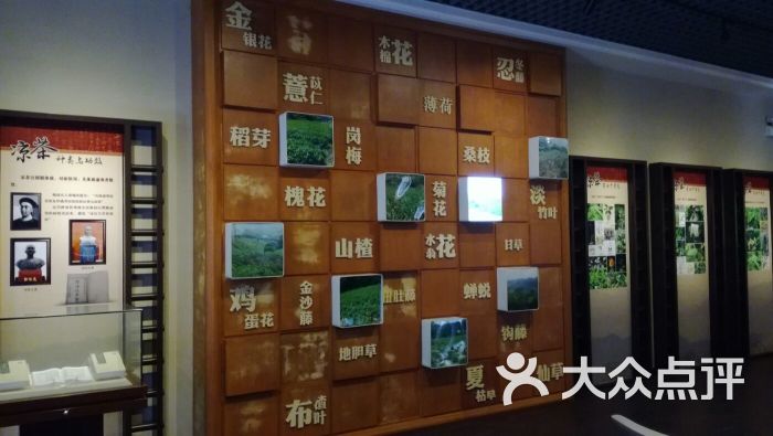 神农草堂中医药博物馆景点图片 - 第7张
