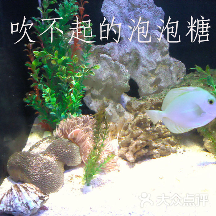 Vx1yzOvj26xv_u8Go4AyfLhPER7BeKyq355FiGopWSTNBdX1pTyrHk45KubUbadZTK-l1dfmC-sNXFHV2eRvcw.jpg