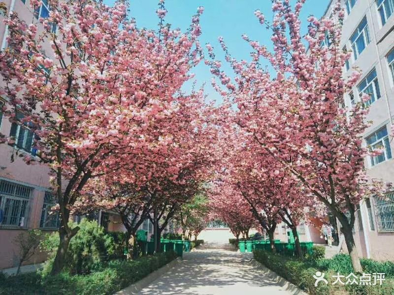 西安财经学院行知学院