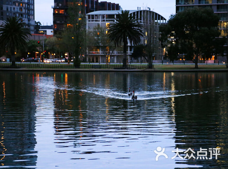 艾伯特公园albert park lake图片 第1张