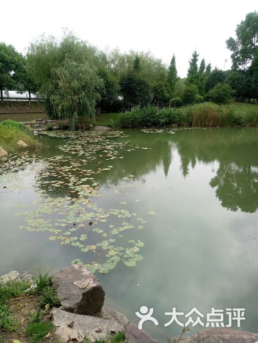 汝湖公园图片 - 第3张