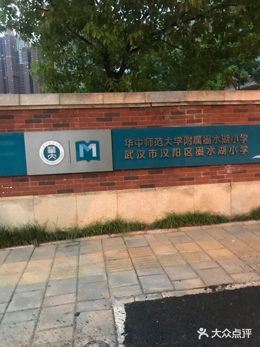 华中师范大学附属墨水湖小学图片