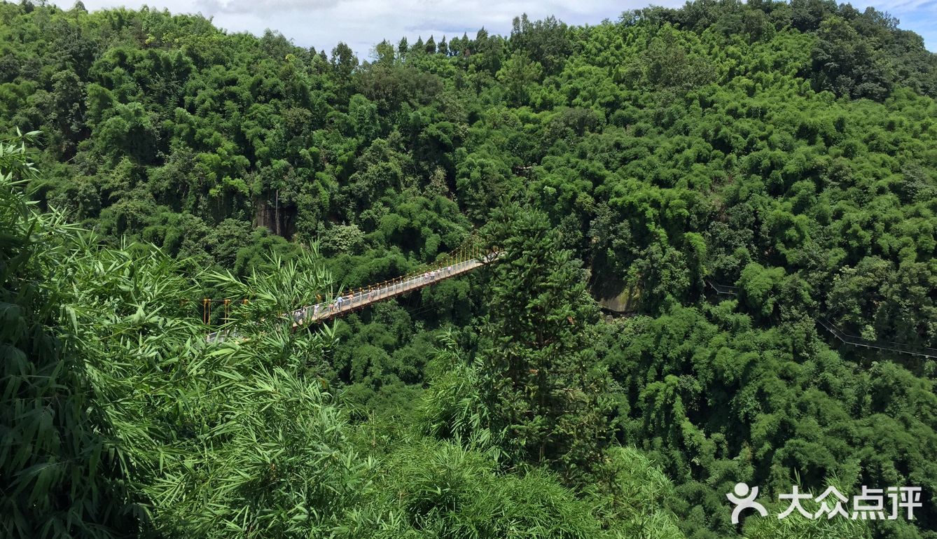 川西竹海景区洗肺之旅推荐