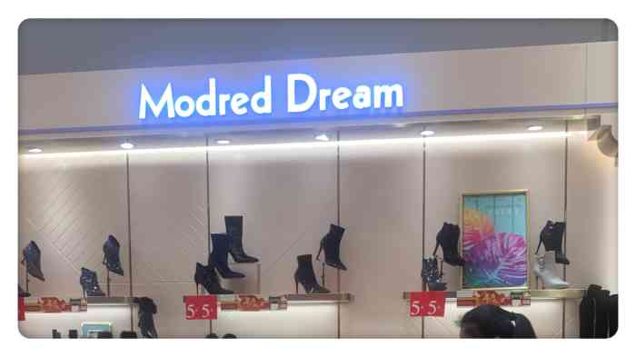 modreddream(新世界百货店"上上周22周年庆一楼人太多就没去看鞋子