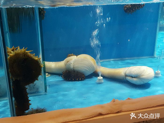 淳鲁阁之名,给人以地道周正的鲁菜的印.-哈