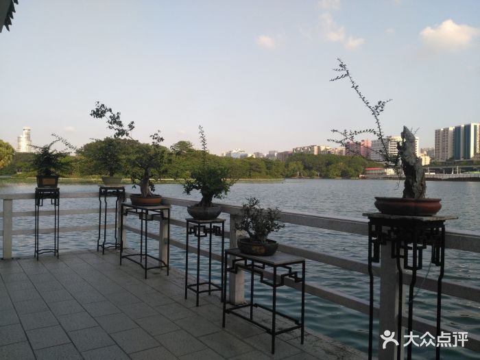 流花西苑图片 第67张