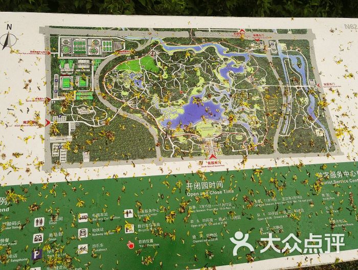 北京奥林匹克公园随处可见的导游图图片 - 第2张