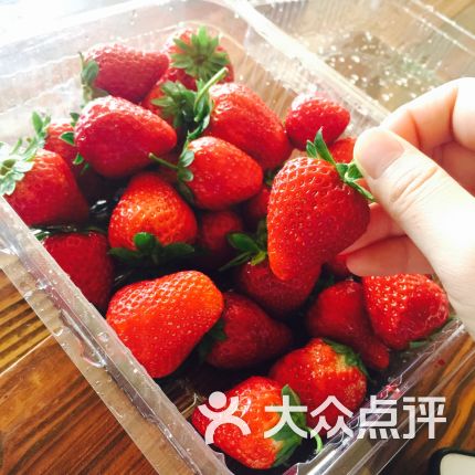 【万胜围草莓园】电话_地址_价格_营业时间_