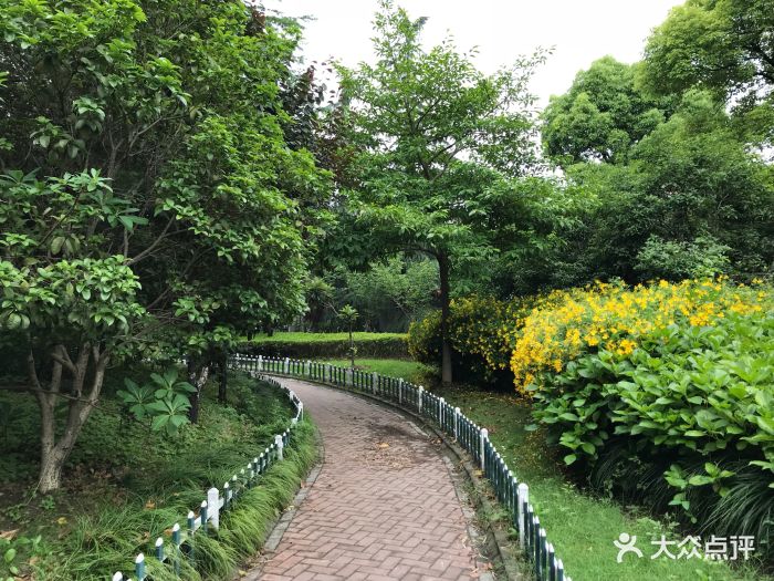 金沙公园图片