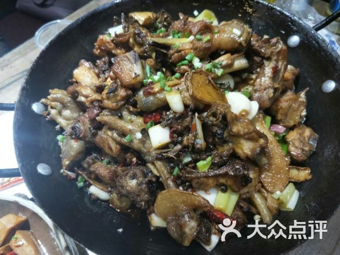 土家鸡图片 - 第5张