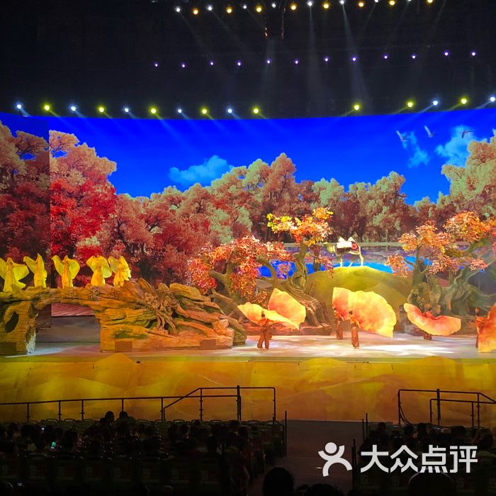 驼铃传奇秀