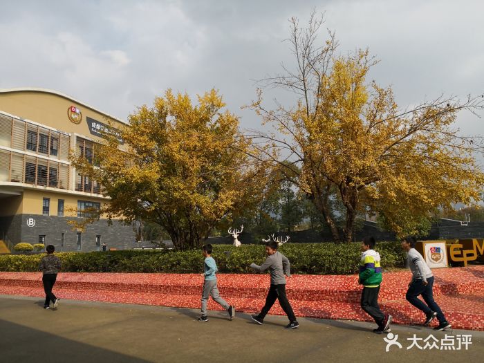 蒙彼利埃小学-图片-成都学习培训-大众点评网