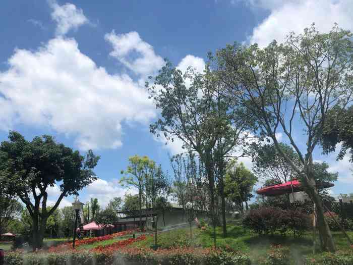 小四川蓝园吃的团年饭,年过完了来补功课