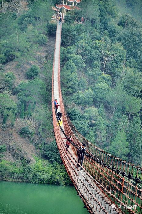 白鹤山庄旅游度假区-图片-泰顺县周边游-大众点评网