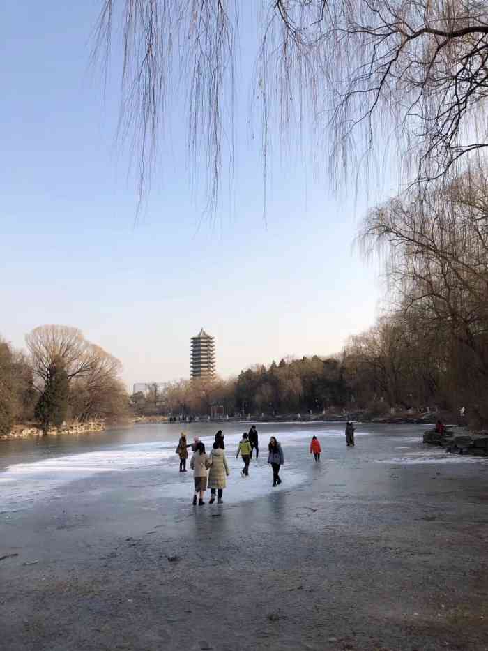 未名湖-"春天到了!在石鱼这里溜达看小鸭子和鸳鸯戏."-大众点评移动版