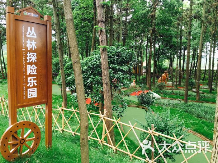 洈水汽车露营地图片 - 第8张