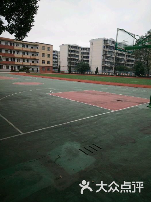 湖州市凤凰小学图片 - 第1张