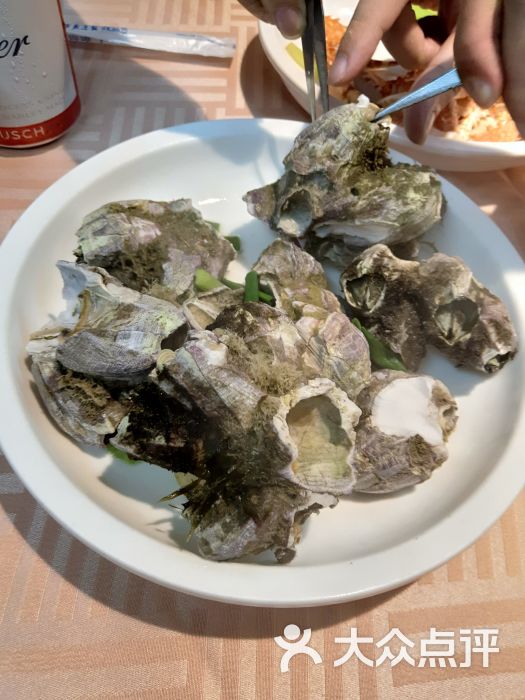 柏林海鲜-雀嘴图片-温州美食-大众点评网