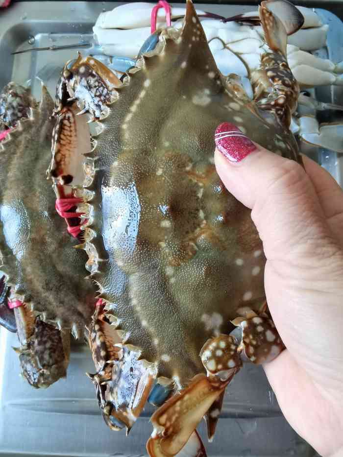 贵财鲜活水产-"大碴子,还挺好的,杠精别再杠螃蟹这事了啊.