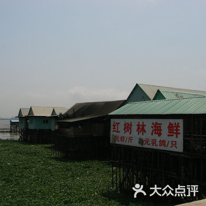 海鸥岛红树林餐厅图片-北京自然风光-大众点评网