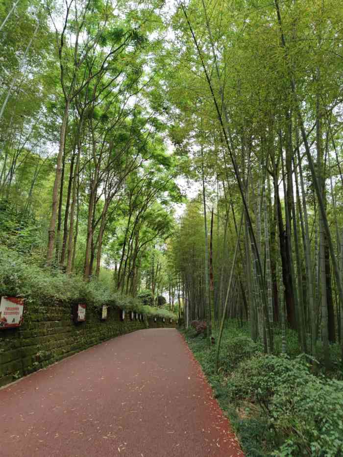 雨台山公园"作为重庆后花园的北碚,随处都是小公园,小.