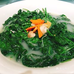 怎样腌制辣椒叶好吃 WHp7M26B-ilj1PXC1c-Z6cg4bG6dFKIf2kwgNof4ekcEMU9f48PuD9VxLLDAjdoUuzFvxlbkWx5uwqY2qcjixFEuLYk00OmSS1IdNpm8K8twhW7bzr4O88Ivp4FuDG0SfCF2ubeXzk49OsGrXt_KYDCngOyCwZK-s3fqawWswzk.jpg