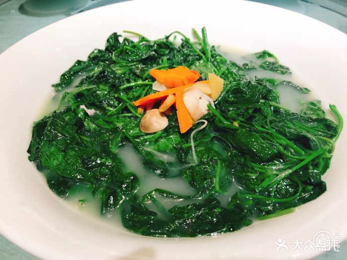 朱仔记食府(江南大道店)上汤辣椒叶图片 第355张