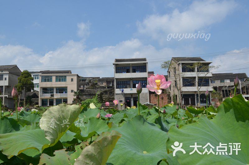 兰田风景区-高山荷塘图片-临海市周边游-大众点评网