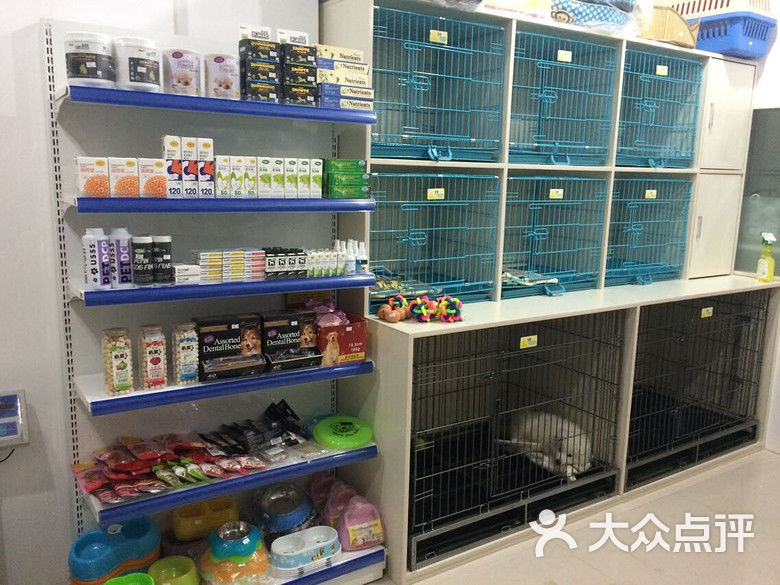 依依宠物店图片 - 第3张