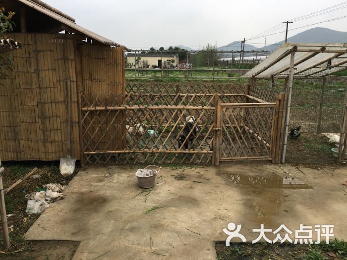 渔歌生态农庄农家乐图片 - 第5张