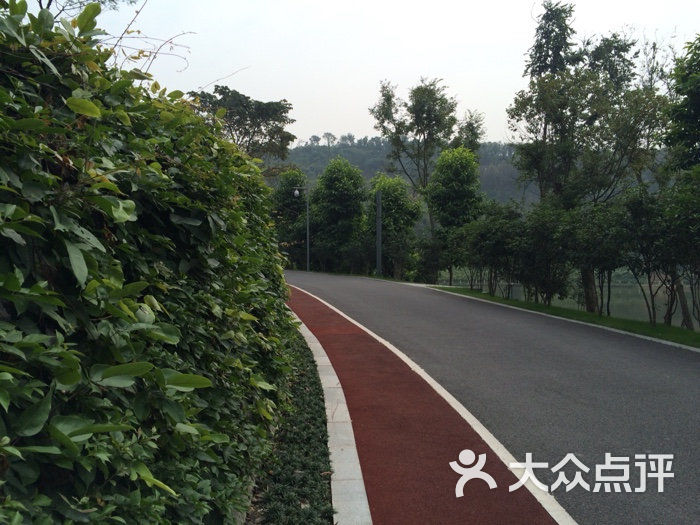 免费跑步的公园 WJX1OyYP6WiO86GYWeo3zhsYXxxXBIWWA-V6vWtphy-20MwiZ1PnhLkFQaLXTOXwTYGVDmosZWTLal1WbWRW3A.jpg