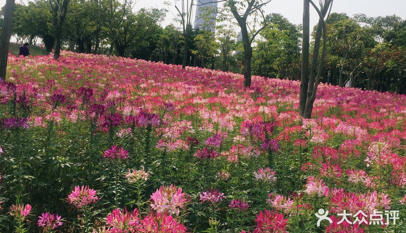 流花山公园