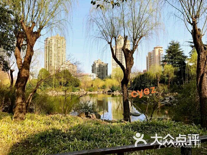 新虹桥中心公园