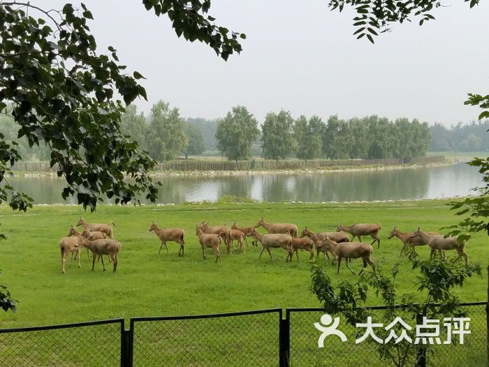 南海子麋鹿苑博物馆的全部评价-北京-大众点评网