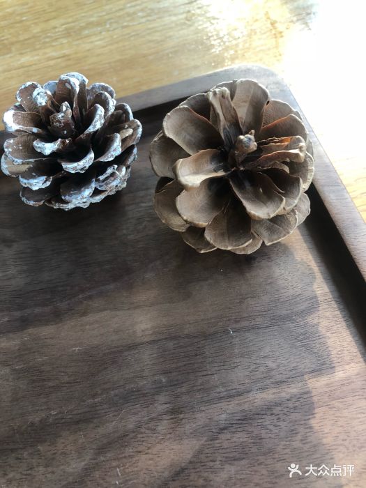 位置公交淮安市人社局下,就在舒畅教育的二.