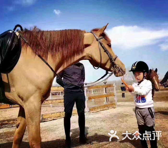 英式马场马术体验中-图片-北京运动健身-大众点评网
