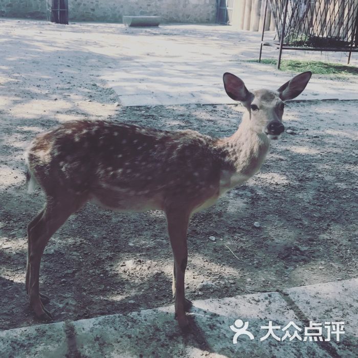 北京动物园图片 - 第1张