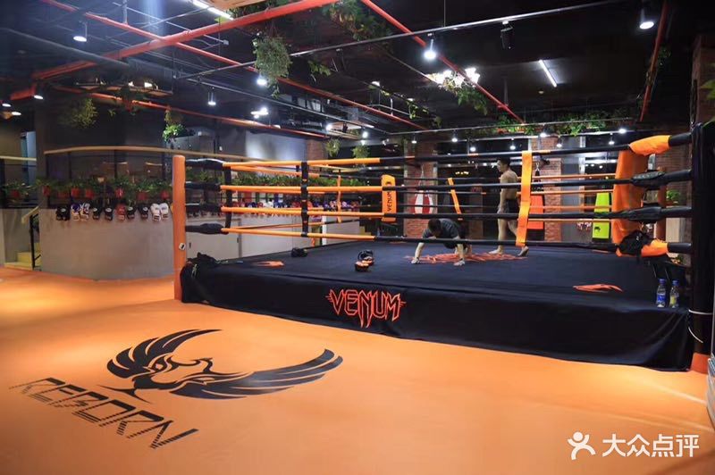 锐博恩reborn私教搏击俱乐部(散打泰拳mma)(双井店)图片 - 第129张