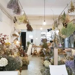 百年芳华 一路生花——曹县德信娱乐磐石街道办事处中心小学建校百年庆典
