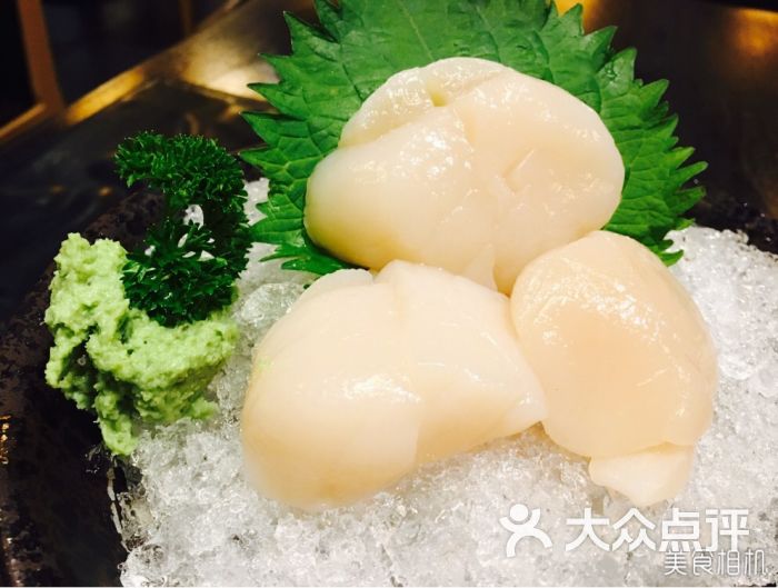 帆立贝