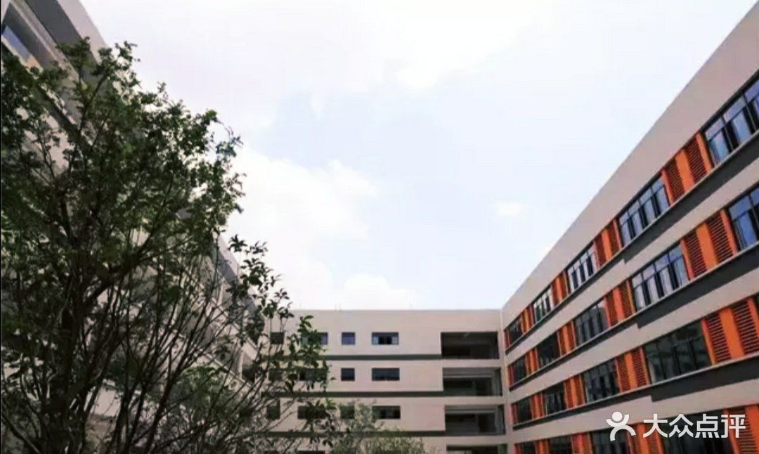 新区实验小学(珠江路分校)图片