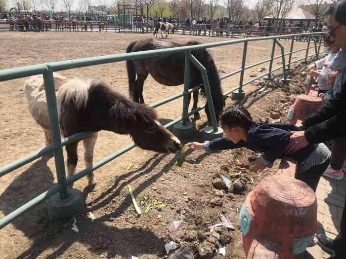 光合谷旅游度假区-"真的不建议大家来,采摘超了就要多收30元.