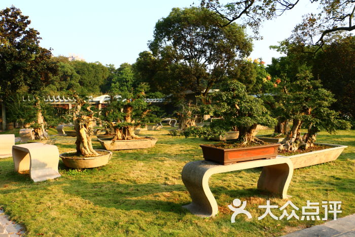 沙市市中山公园图片 - 第115张