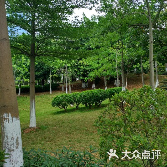 揽胜园